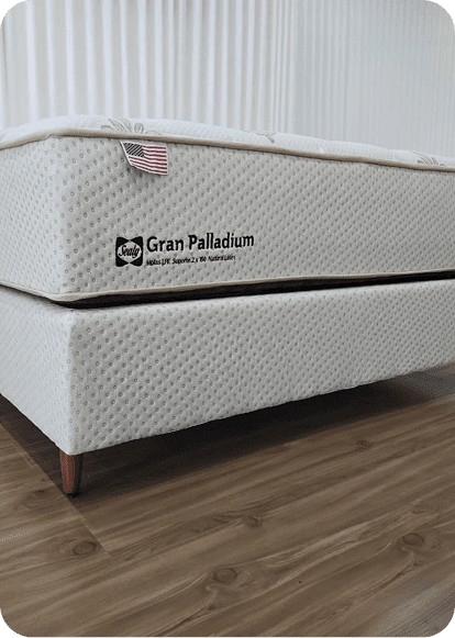 WhatsApp Image 2026-01-13 at 11.06.36 1